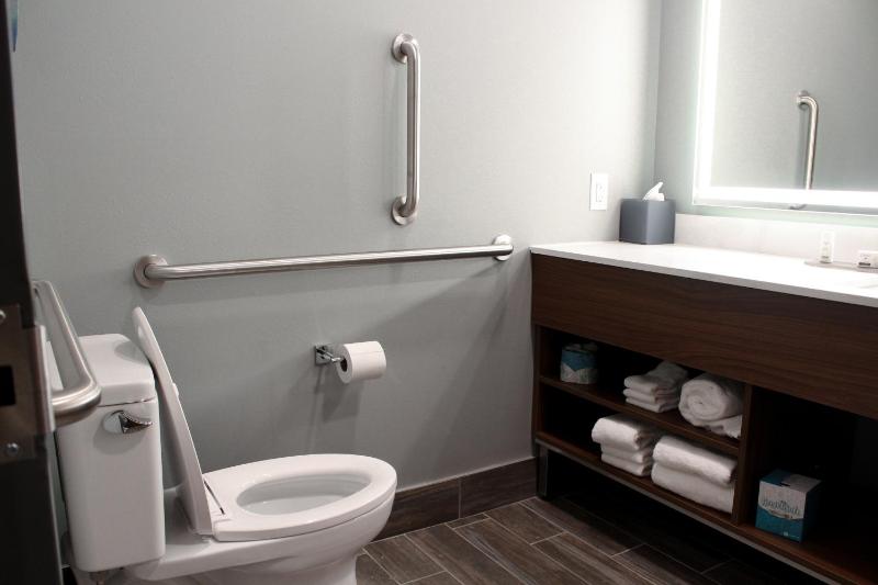King Room with One King Bed and Roll-in Shower - Mobility and Hearing Accessible/Non-Smoking image 4