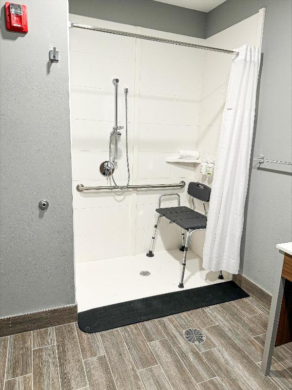 King Room with One King Bed and Roll-in Shower - Mobility and Hearing Accessible/Non-Smoking image 3