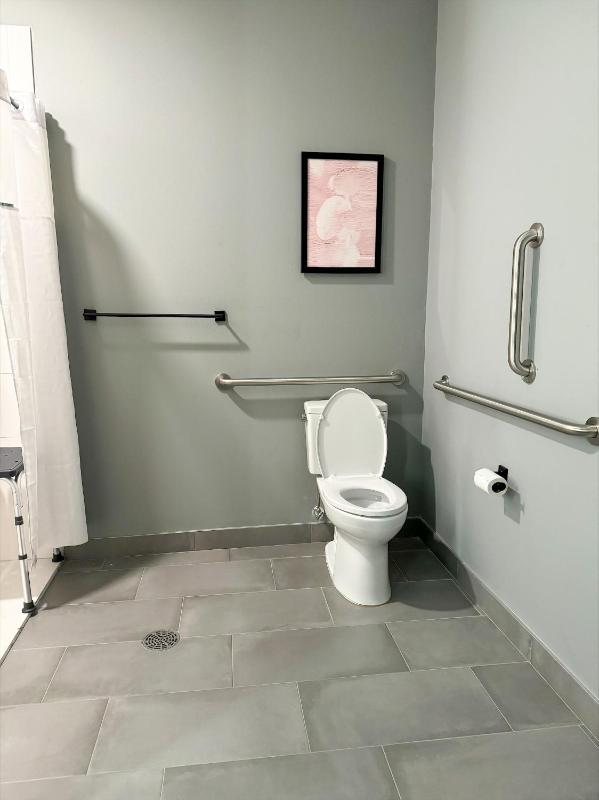 King Room with Roll-In Shower - Mobility/Hearing Accessible - Pet-Friendly/Non Smoking image 3