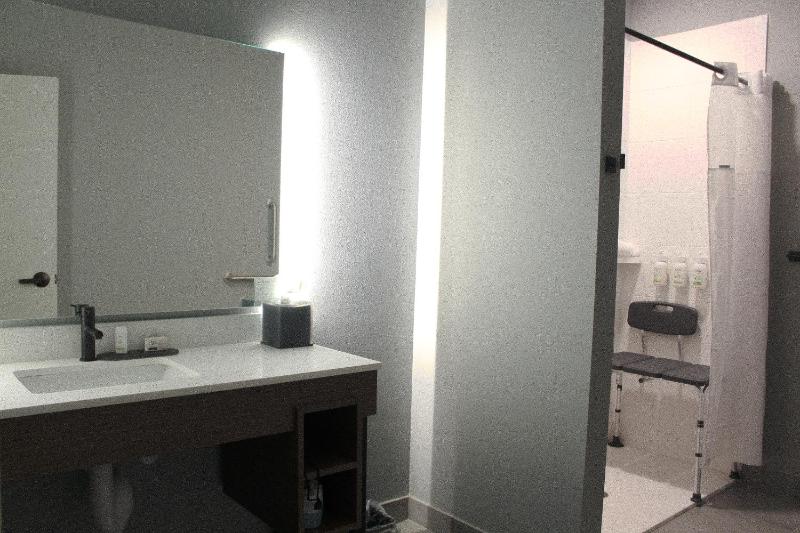 King Room with Roll-In Shower - Mobility/Hearing Accessible - Pet-Friendly/Non Smoking image 2
