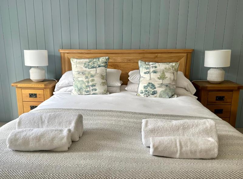 Superior Double Room image 4