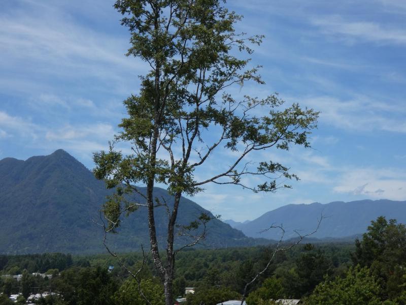 Depto Vista Valle Pucón - image 14