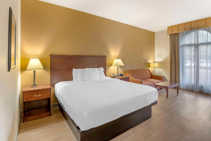 Deluxe King Room image 1