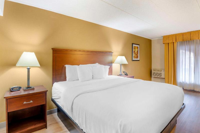 King Room image 1