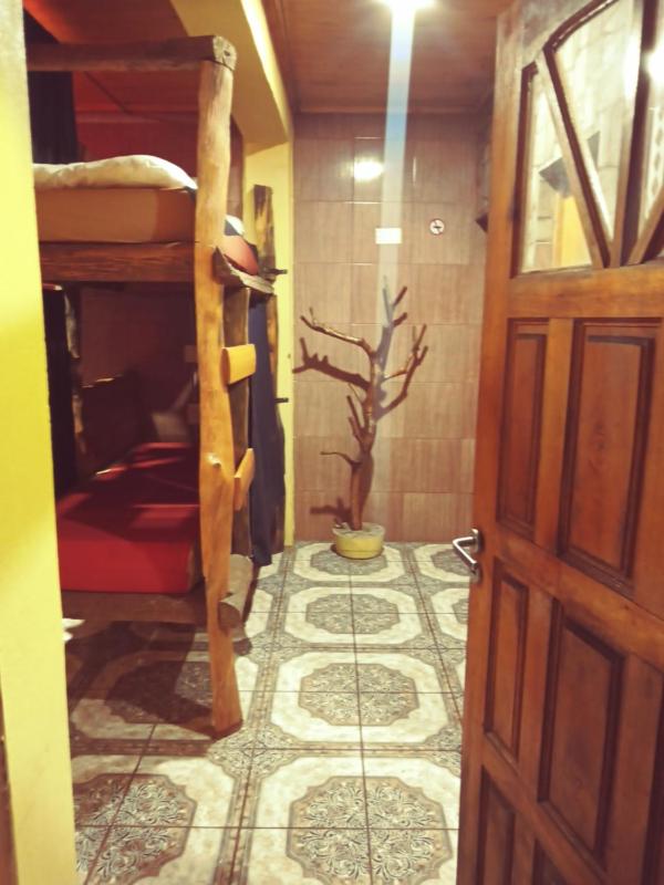 Hostel Sin Fronteras - image 9