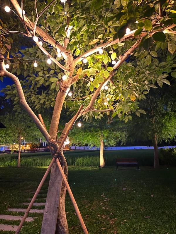 Blue Sky Hill Homestay 臺東縣民宿1467號 - image 9