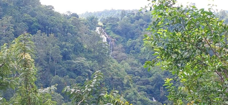Pasan Guest - image 17