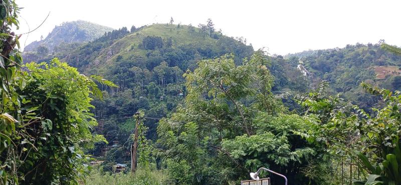 Pasan Guest - image 11