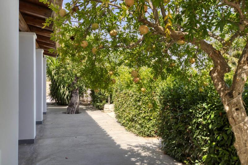 Relais Casa Bonivini - Libeccio - image 11