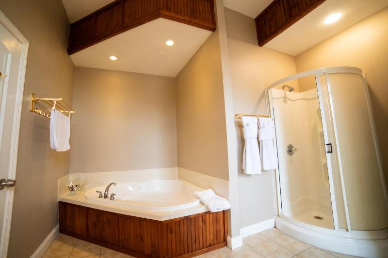 1 Bedroom Suite With Balcony & Jetted Tub image 4