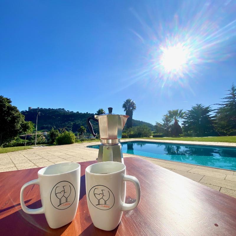 Casa Calidris - Bed Wine & Breakfast - image 19