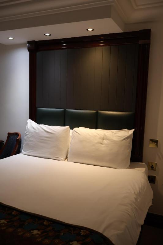 Deluxe Double Room image 3