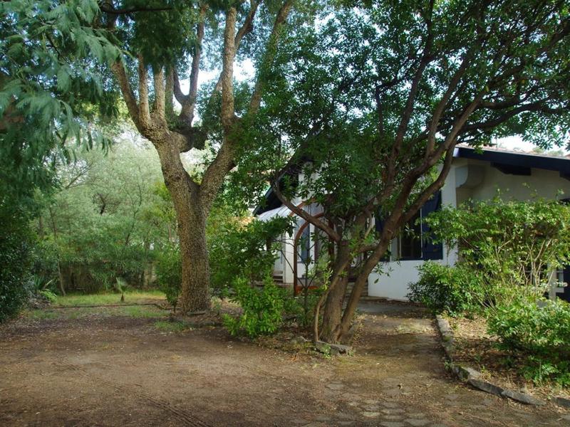 Grande maison landaise près du port de Capbreton 4 chambres jardin animaux admis - FR-1-413-232 - image 8