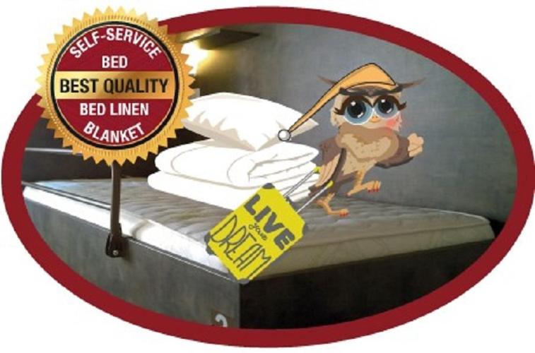 Bunk Bed in 2-Bed Mixed Dormitory Room image 1