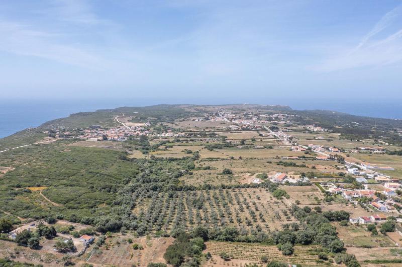 Villa Bahia - image 15