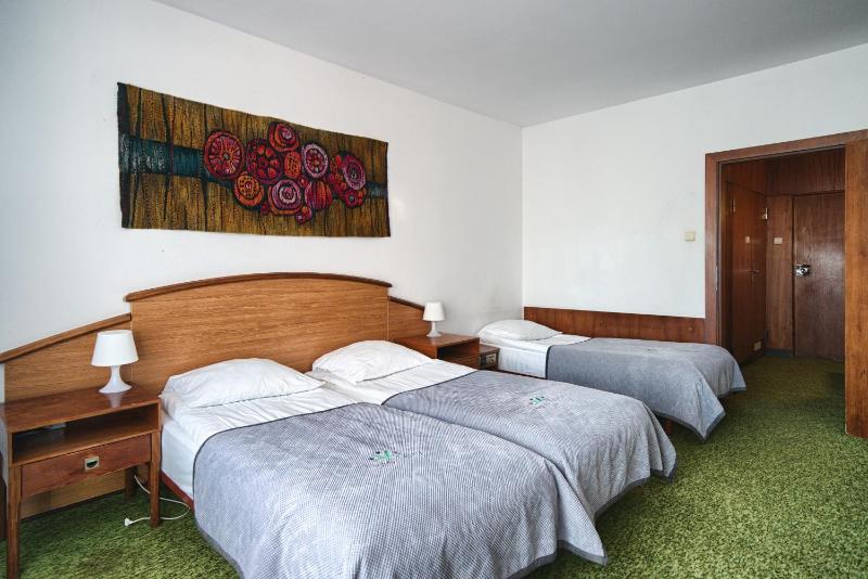 Triple Room with Mountain View - Hotel *** image 3