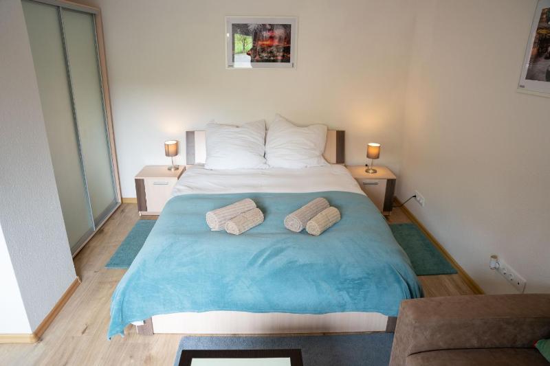 Studio Apartment image 4