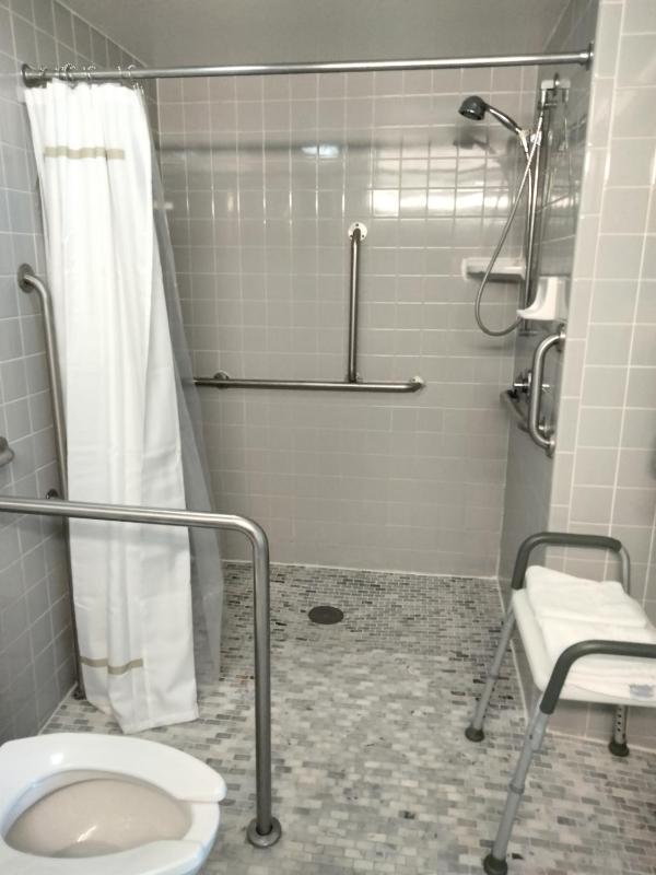 King Room with Roll-In Shower - Disability Access image 3