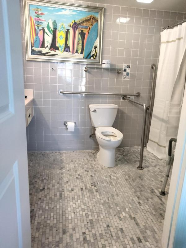 King Room with Roll-In Shower - Disability Access image 4