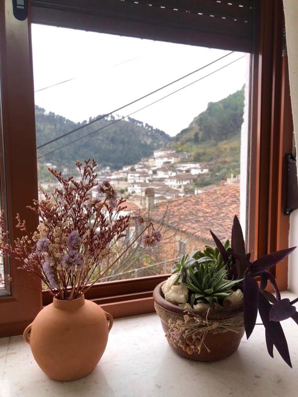 Villa Dona - image 7