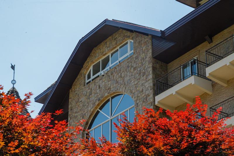 Carballo Hotel & Spa - image 20