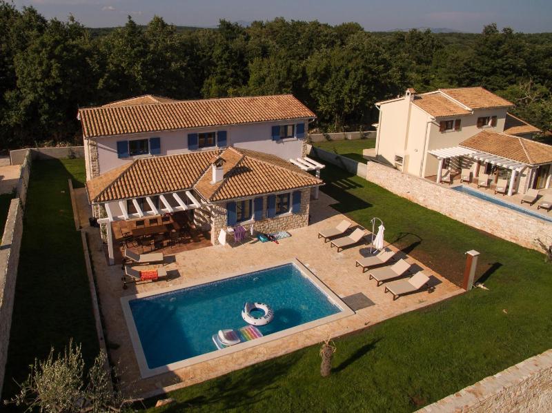 Deluxe Villa with Private Pool image 3