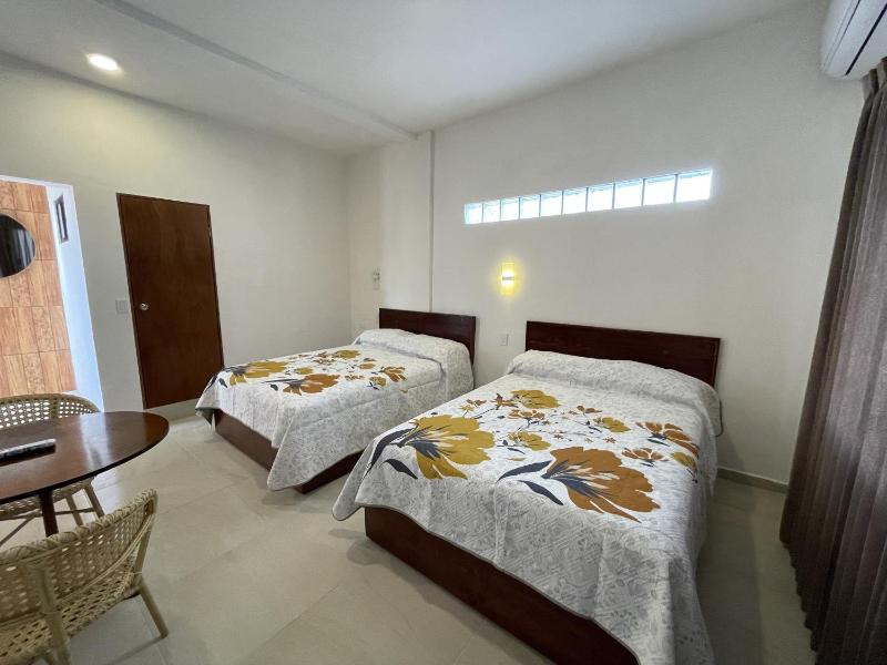 Hotel Allende - image 48