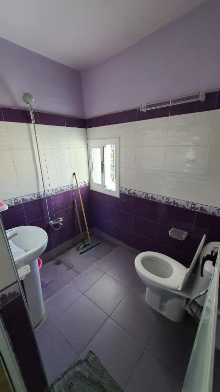 hostel aline - image 4