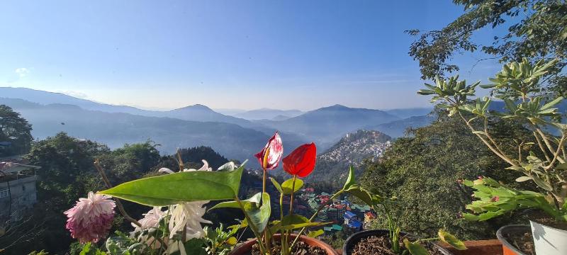 Morning Mist Homestay - image 6