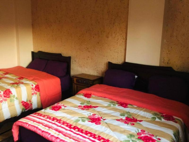 Single Room image 1