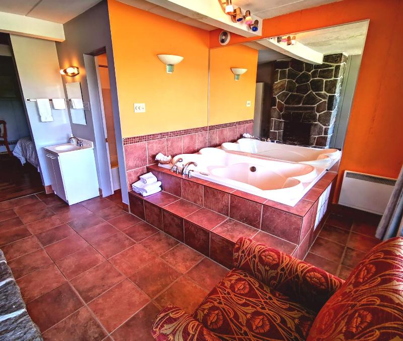 Motel Tremblant - image 21