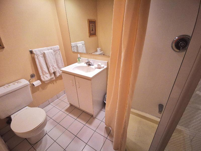 Motel Tremblant - image 20