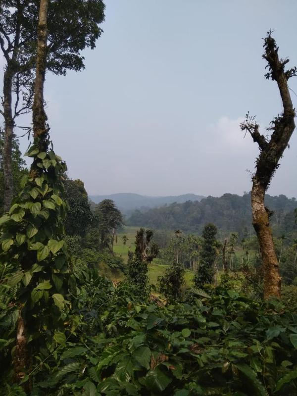 BYMANA ESTATE STAY...! - image 21