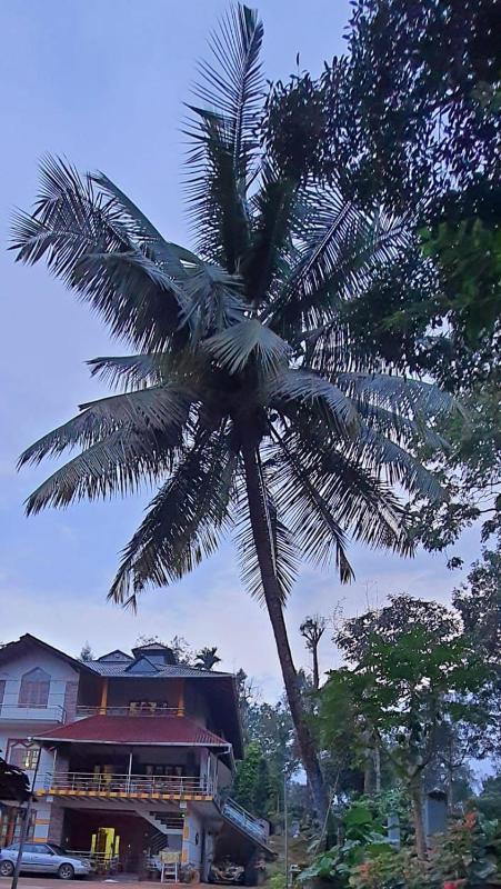BYMANA ESTATE STAY - image 12