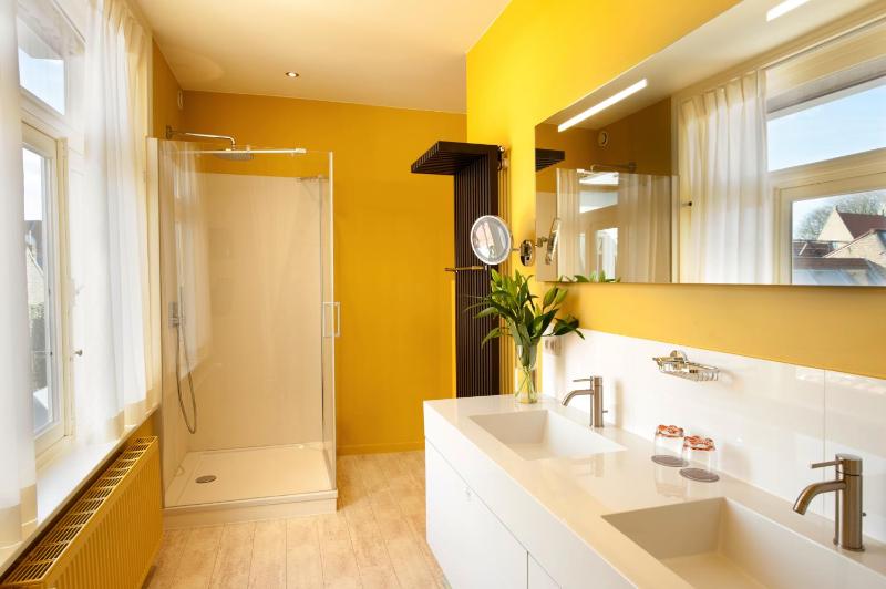 Deluxe Twin Room image 3