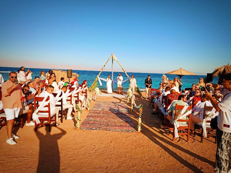 Daniela Diving Resort Dahab - image 43