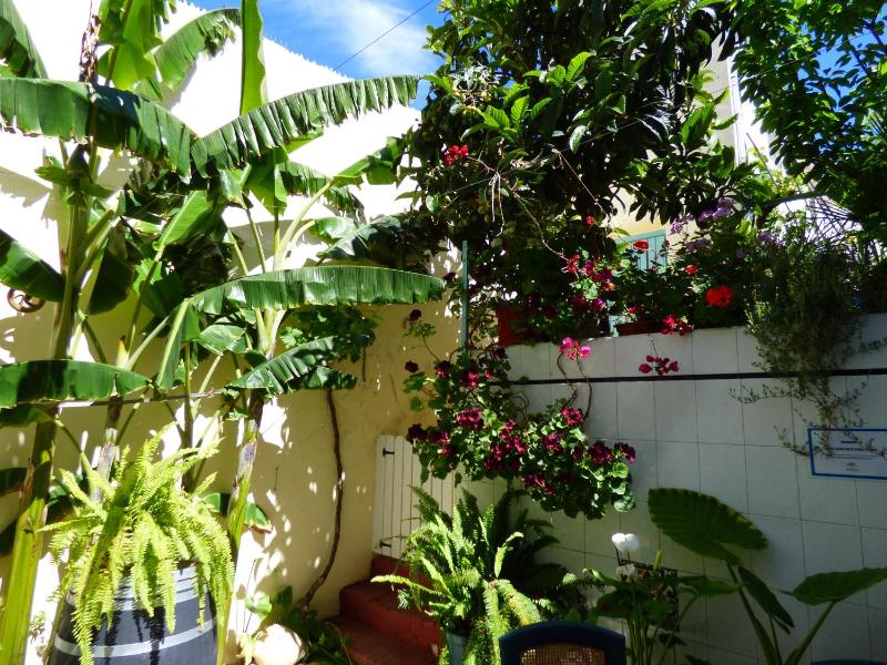 Hostal Campo Nuevo - image 24