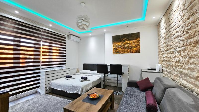 One-Bedroom Apartment image 4