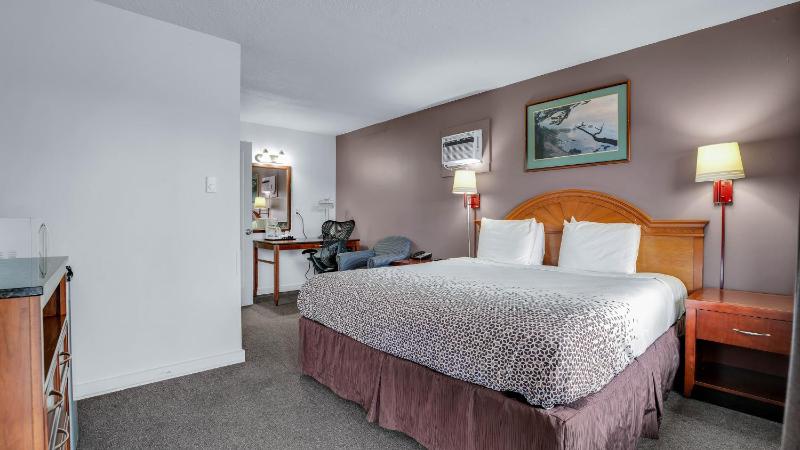 Viking Motel - image 20