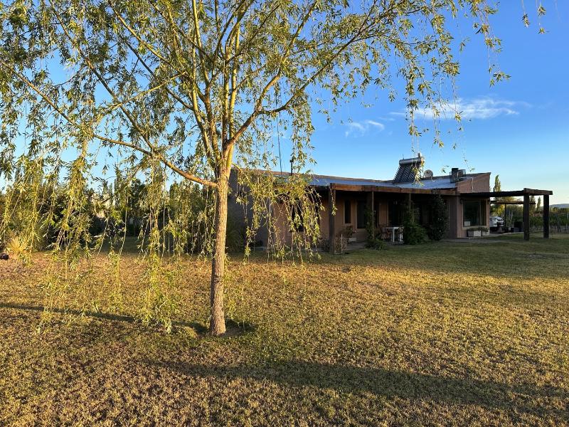 Casa entre viñas - image 2