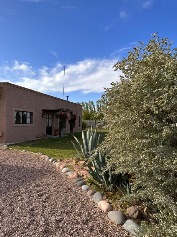 Casa entre viñas - image 31