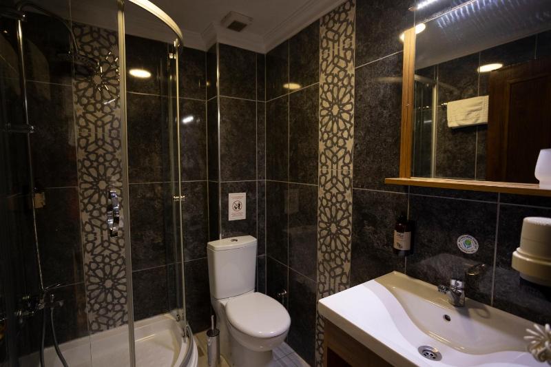 Single Room image 3