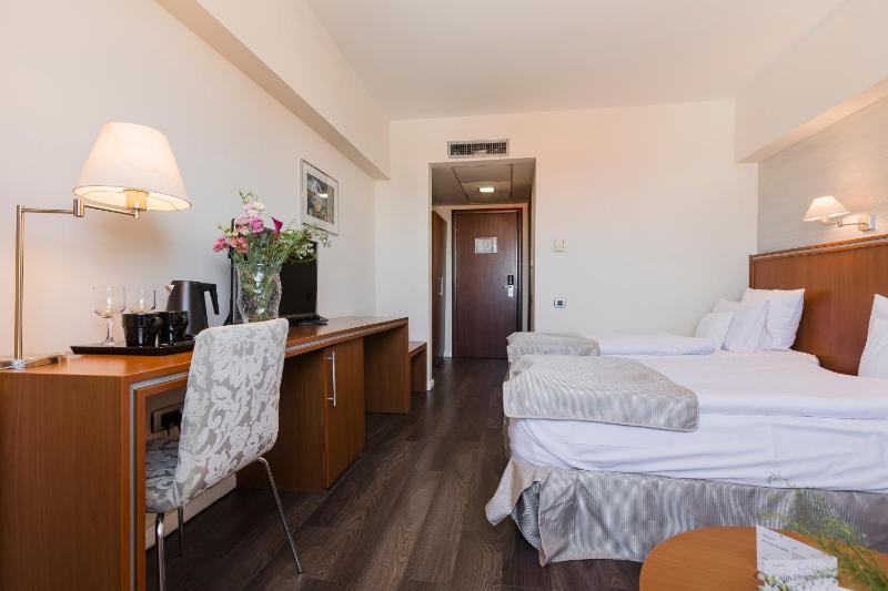 Hotel Timisoara - image 13