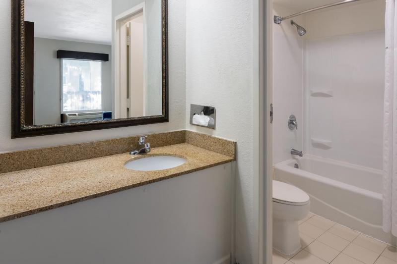 Deluxe King Suite image 2