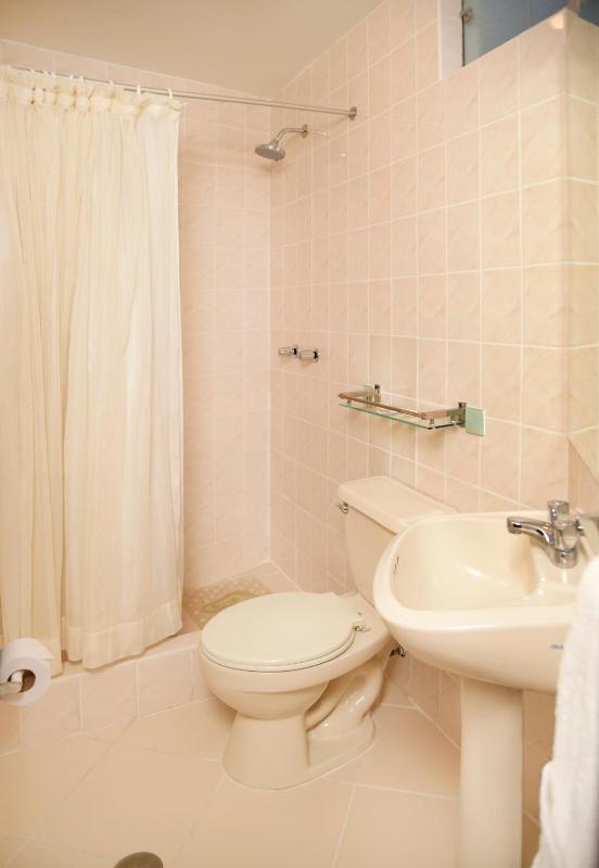 Hotel Benavides - image 13