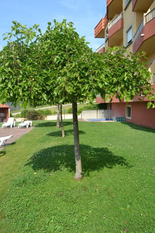 Apartamentos Montalvo Playa - image 11