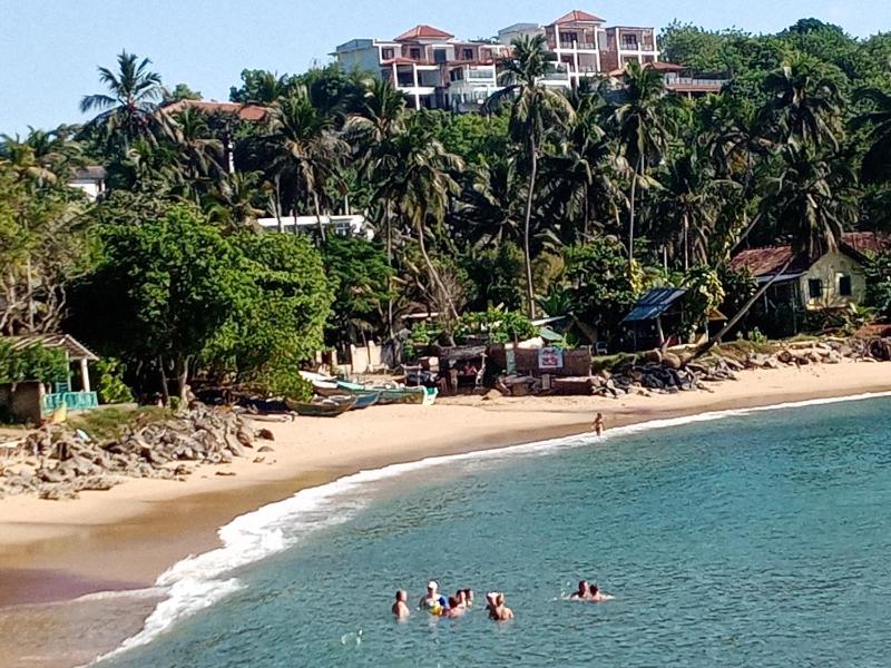 Surf Paradise 2 - image 4