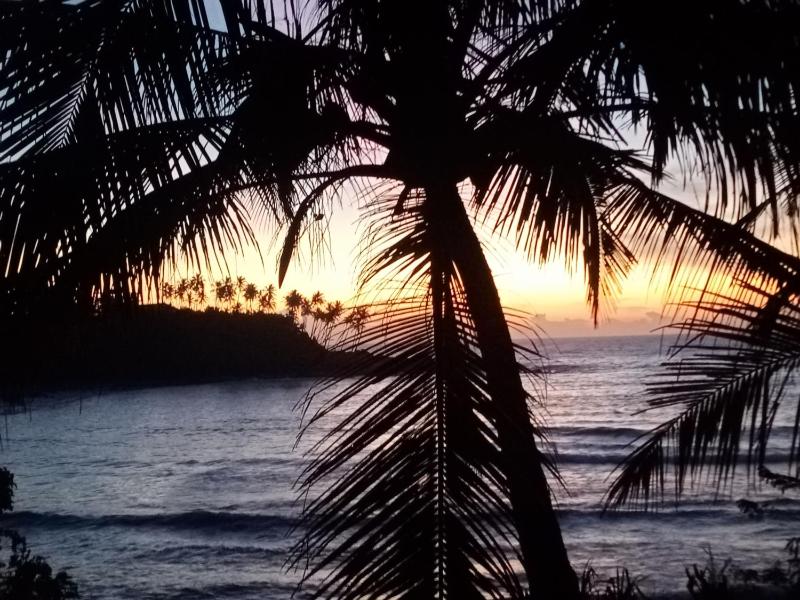 Surf Paradise 2 - image 16