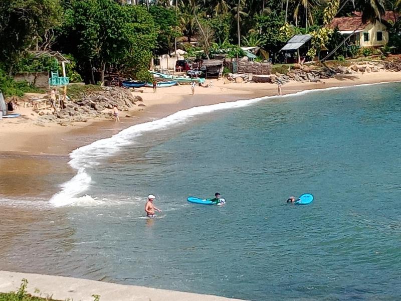 Surf Paradise 2 - image 21