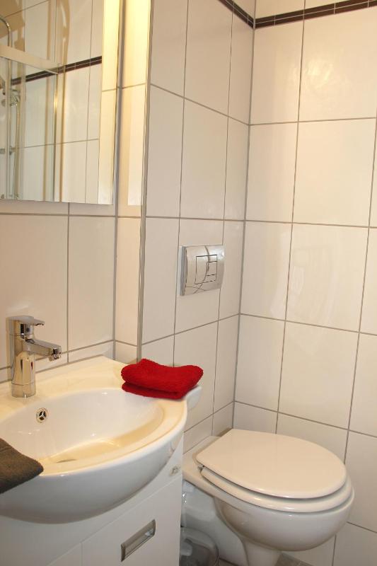 One-Bedroom Apartment image 4